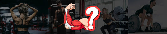 Combien de séries et répétitions pour prendre du muscle - PANTHERAW